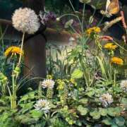 ヒメ日記 2025/08/04 14:40 投稿 ひかる 渋谷角海老