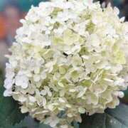 ヒメ日記 2025/07/13 16:27 投稿 まなみ ～優しい若妻倶楽部～Mrs.女神