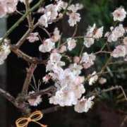 ヒメ日記 2026/02/28 21:59 投稿 まなみ ～優しい若妻倶楽部～Mrs.女神