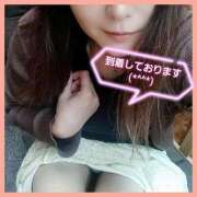 ヒメ日記 2025/07/11 10:30 投稿 はな 丸妻 横浜本店