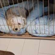 ヒメ日記 2025/08/12 18:54 投稿 はな 丸妻 横浜本店