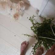 ヒメ日記 2025/08/14 20:51 投稿 はな 丸妻 横浜本店