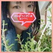 ヒメ日記 2025/08/15 08:40 投稿 はな 丸妻 横浜本店