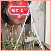 ヒメ日記 2025/08/20 15:17 投稿 はな 丸妻 横浜本店