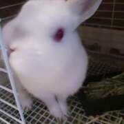 ヒメ日記 2025/08/22 13:57 投稿 はな 丸妻 横浜本店