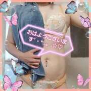 ヒメ日記 2025/09/01 08:14 投稿 はな 丸妻 横浜本店