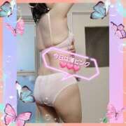 ヒメ日記 2025/09/08 07:10 投稿 はな 丸妻 横浜本店