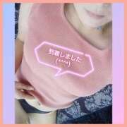 ヒメ日記 2025/09/10 09:30 投稿 はな 丸妻 横浜本店