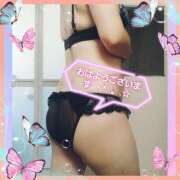 ヒメ日記 2025/09/12 08:12 投稿 はな 丸妻 横浜本店