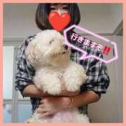 ヒメ日記 2025/10/11 07:01 投稿 はな 丸妻 横浜本店