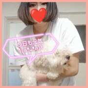 ヒメ日記 2025/10/13 07:16 投稿 はな 丸妻 横浜本店