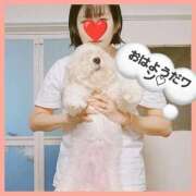 ヒメ日記 2025/10/17 06:43 投稿 はな 丸妻 横浜本店