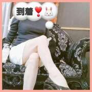 ヒメ日記 2025/10/18 09:08 投稿 はな 丸妻 横浜本店