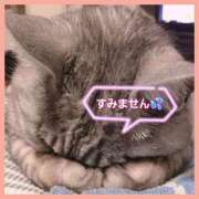 ヒメ日記 2025/10/20 07:44 投稿 はな 丸妻 横浜本店