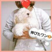 ヒメ日記 2025/10/22 06:00 投稿 はな 丸妻 横浜本店