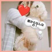 ヒメ日記 2025/10/24 05:30 投稿 はな 丸妻 横浜本店