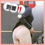 ヒメ日記 2025/10/26 09:15 投稿 はな 丸妻 横浜本店