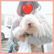 ヒメ日記 2025/10/31 06:27 投稿 はな 丸妻 横浜本店