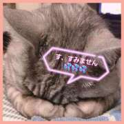 ヒメ日記 2025/11/29 07:50 投稿 はな 丸妻 横浜本店