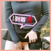 ヒメ日記 2025/12/10 09:04 投稿 はな 丸妻 横浜本店