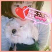 ヒメ日記 2025/12/12 07:21 投稿 はな 丸妻 横浜本店