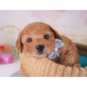 ヒメ日記 2025/12/25 07:03 投稿 はな 丸妻 横浜本店