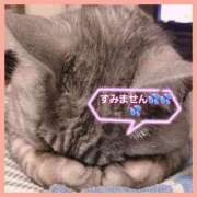 ヒメ日記 2025/12/29 22:47 投稿 はな 丸妻 横浜本店