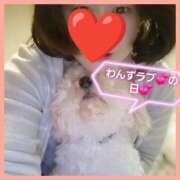 ヒメ日記 2026/01/11 05:35 投稿 はな 丸妻 横浜本店