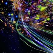 ヒメ日記 2025/06/12 09:03 投稿 かれん sakura