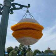 ヒメ日記 2025/06/23 09:12 投稿 かれん sakura