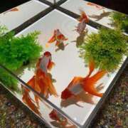 かれん 今月は運がないのかもしれません… sakura