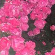 ヒメ日記 2025/05/26 21:55 投稿 ユリカ バニーコレクション新潟店