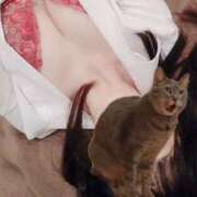 ヒメ日記 2025/06/01 07:31 投稿 黒猫　きた プルプル京都性感エステ　はんなり