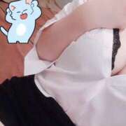 ヒメ日記 2025/07/01 12:45 投稿 黒猫　きた プルプル京都性感エステ　はんなり