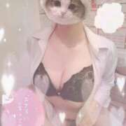 黒猫　きた にゃんっ プルプル京都性感エステ　はんなり