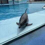 ヒメ日記 2025/08/19 18:19 投稿 せら 神田ハンドメイド