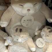 ヒメ日記 2026/02/02 12:14 投稿 さな 池袋S級素人派遣型東京美少女物語