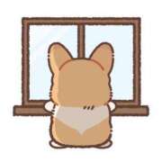 ヒメ日記 2025/09/19 20:02 投稿 銀河【ぎんが】 丸妻 西船橋店