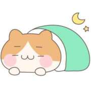 ヒメ日記 2025/09/30 03:03 投稿 銀河【ぎんが】 丸妻 西船橋店