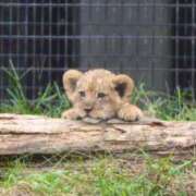 ヒメ日記 2025/11/16 20:40 投稿 銀河【ぎんが】 丸妻 西船橋店