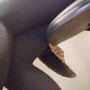 ヒメ日記 2025/11/20 18:36 投稿 銀河【ぎんが】 丸妻 西船橋店