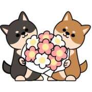 ヒメ日記 2025/12/20 00:05 投稿 銀河【ぎんが】 丸妻 西船橋店