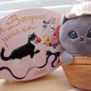 ヒメ日記 2026/02/13 13:32 投稿 銀河【ぎんが】 丸妻 西船橋店