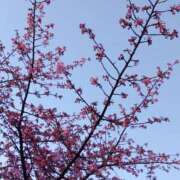 ヒメ日記 2026/02/20 21:11 投稿 銀河【ぎんが】 丸妻 西船橋店