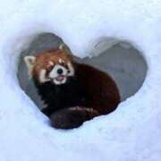 ヒメ日記 2026/02/20 22:12 投稿 銀河【ぎんが】 丸妻 西船橋店