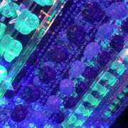 ヒメ日記 2026/02/21 03:02 投稿 銀河【ぎんが】 丸妻 西船橋店