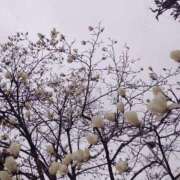 ヒメ日記 2026/03/09 19:15 投稿 銀河【ぎんが】 丸妻 西船橋店