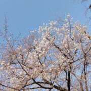 ヒメ日記 2026/03/23 18:08 投稿 銀河【ぎんが】 丸妻 西船橋店