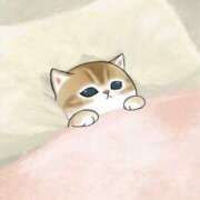 銀河【ぎんが】 また明後日🐱🍼 丸妻 西船橋店