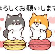 ヒメ日記 2026/07/10 11:05 投稿 銀河【ぎんが】 丸妻 西船橋店